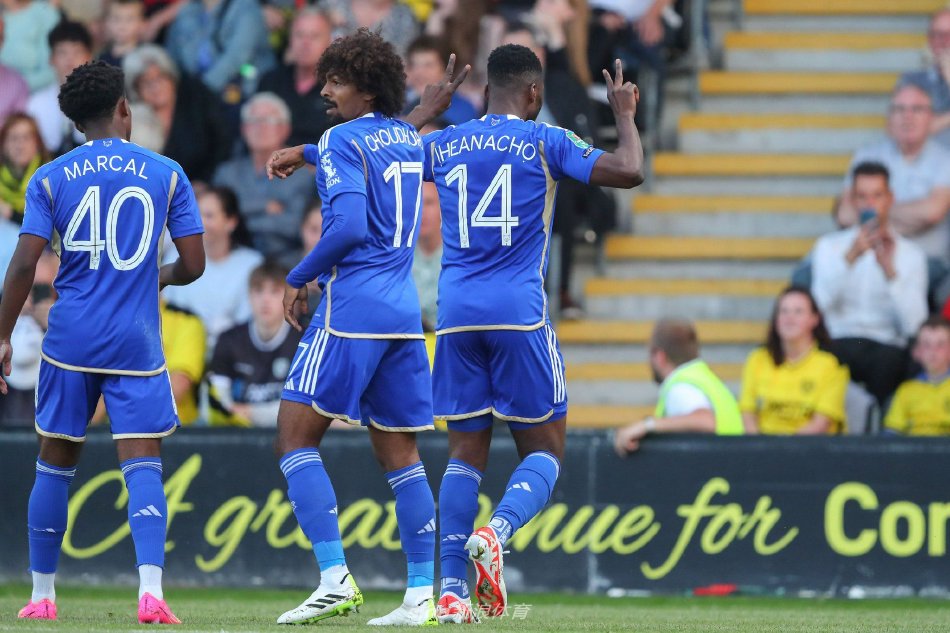 交媒体的热 交媒体的热