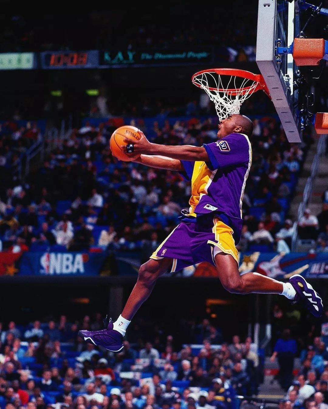 从她选择的 从她选择的